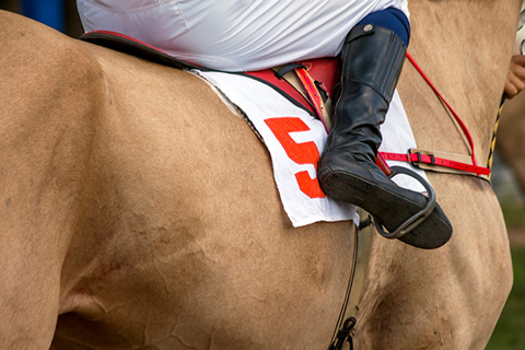 jockey tracks for mens